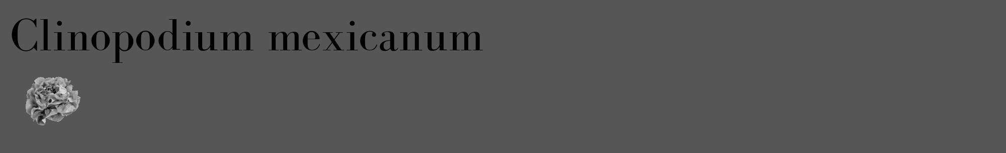 Étiquette de : Clinopodium mexicanum - format c - style noire45_basique_basiquebod avec comestibilité simplifiée