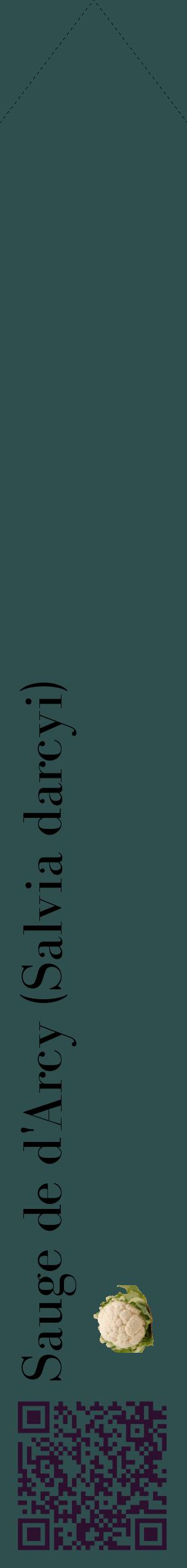 Étiquette de : Salvia darcyi - format c - style noire58_simplebod avec qrcode et comestibilité simplifiée