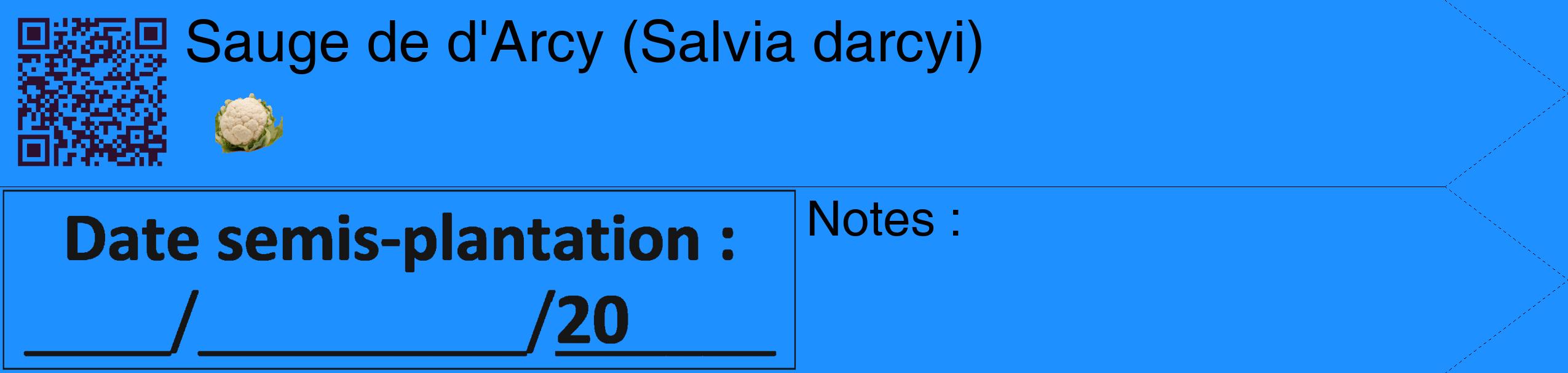Étiquette de : Salvia darcyi - format c - style noire3_simple_simplehel avec qrcode et comestibilité simplifiée