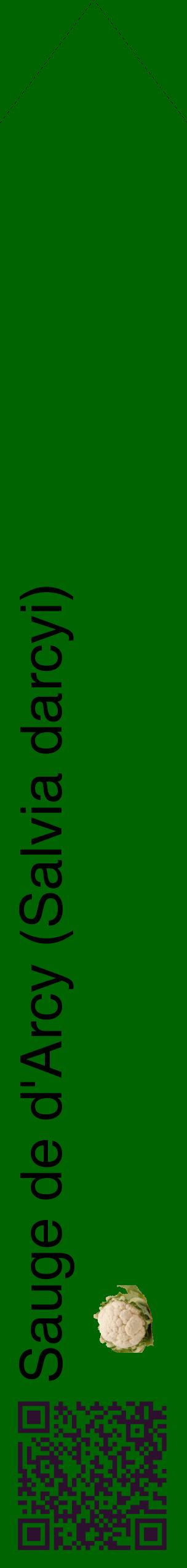 Étiquette de : Salvia darcyi - format c - style noire8_simplehel avec qrcode et comestibilité simplifiée