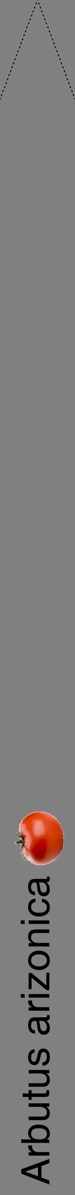Étiquette de : Arbutus arizonica - format b - style noire57hel avec comestibilité simplifiée