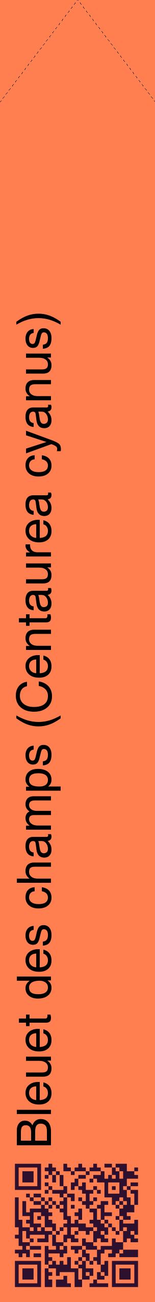 Étiquette de : Centaurea cyanus - format c - style noire24_simplehel avec qrcode et comestibilité