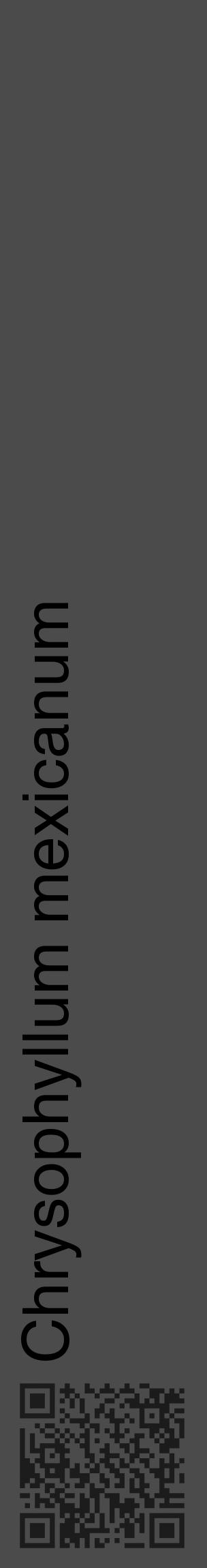 Étiquette de : Chrysophyllum mexicanum - format c - style noire9_basique_basiquehel avec qrcode et comestibilité - position verticale