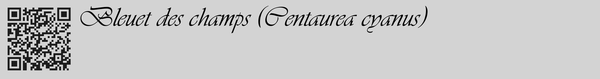 Étiquette de : Centaurea cyanus - format c - style noire56_basique_basiqueviv avec qrcode et comestibilité
