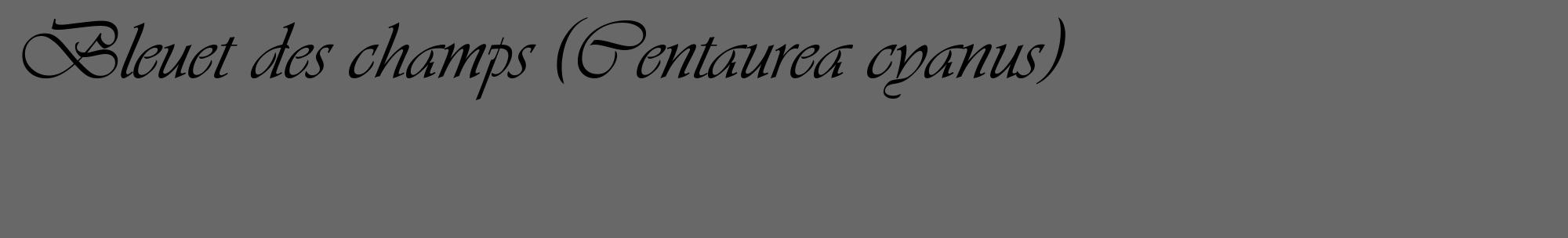 Étiquette de : Centaurea cyanus - format c - style noire6_basique_basiqueviv avec comestibilité