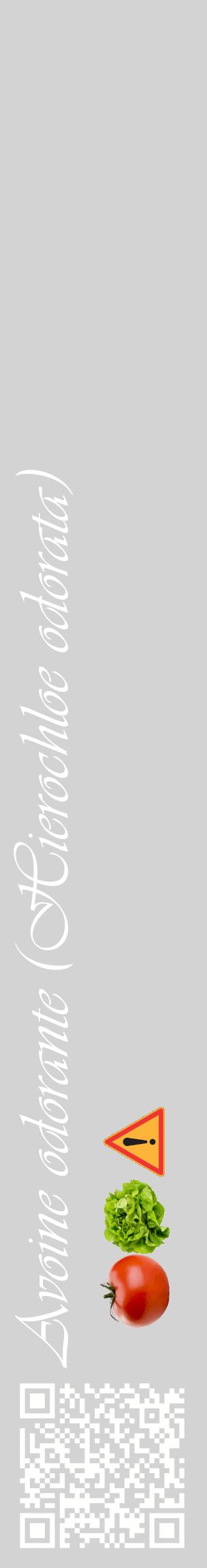 Étiquette de : Hierochloe odorata - format c - style blanche56_basiqueviv avec qrcode et comestibilité simplifiée