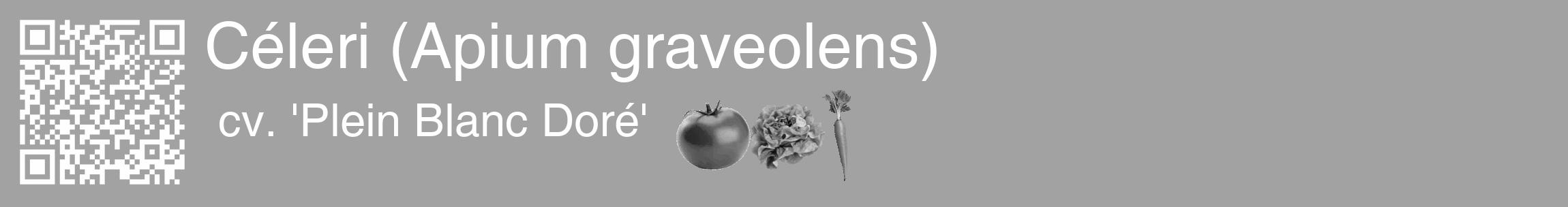 Étiquette de : Apium graveolens cv. 'Plein Blanc Doré' - format c - style blanche38_basique_basiquehel avec qrcode et comestibilité simplifiée