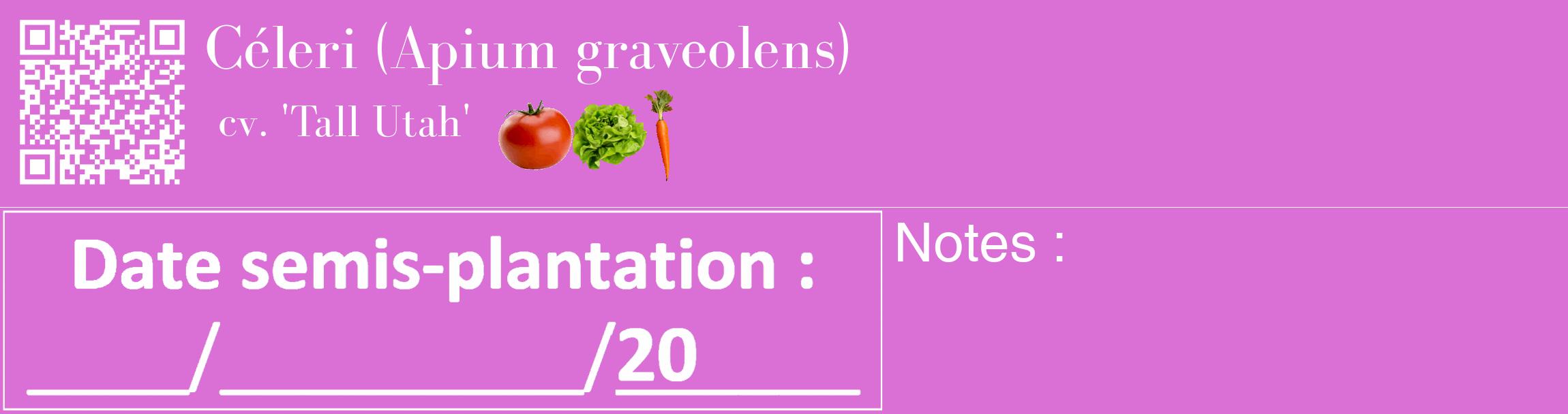 Étiquette de : Apium graveolens cv. 'Tall Utah' - format c - style blanche52_basique_basiquebod avec qrcode et comestibilité simplifiée