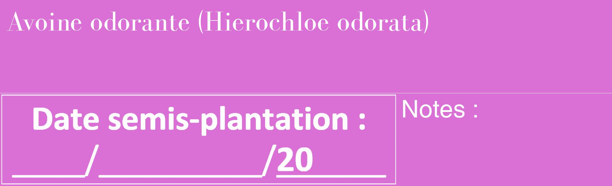 Étiquette de : Hierochloe odorata - format c - style blanche52_basique_basiquebod avec comestibilité