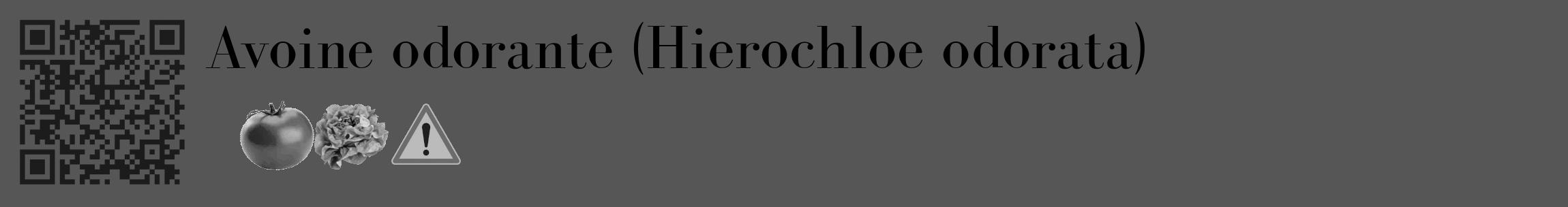 Étiquette de : Hierochloe odorata - format c - style noire45_basique_basiquebod avec qrcode et comestibilité simplifiée