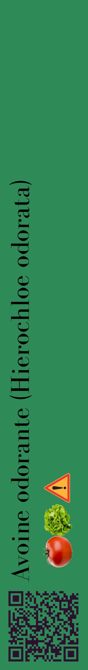Étiquette de : Hierochloe odorata - format c - style noire11_basiquebod avec qrcode et comestibilité simplifiée