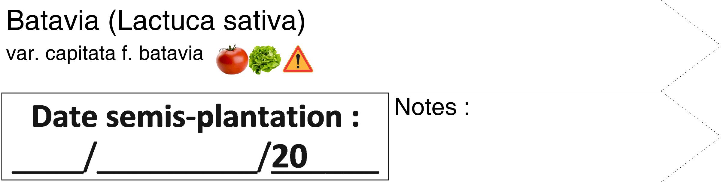 Étiquette de : Lactuca sativa var. capitata f. batavia - format c - style noire60_simple_simplehel avec comestibilité simplifiée