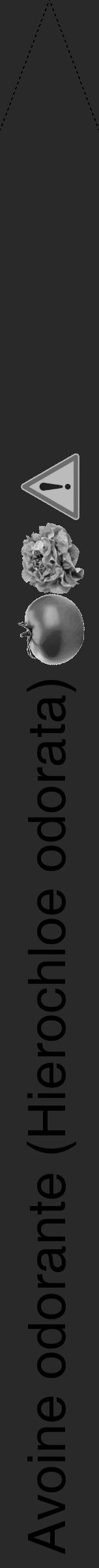 Étiquette de : Hierochloe odorata - format b - style noire34hel avec comestibilité simplifiée - position verticale