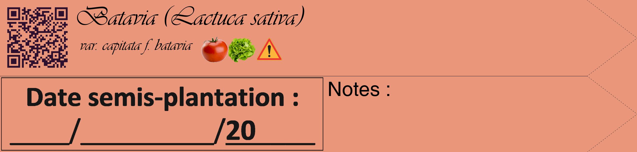 Étiquette de : Lactuca sativa var. capitata f. batavia - format c - style noire37_simple_simpleviv avec qrcode et comestibilité simplifiée