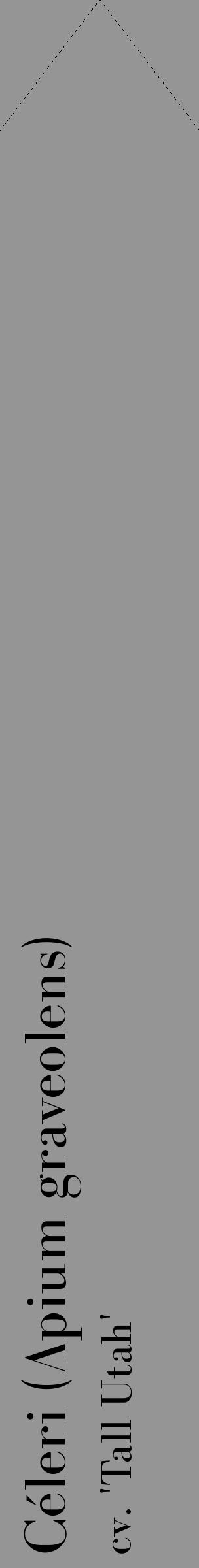 Étiquette de : Apium graveolens cv. 'Tall Utah' - format c - style noire16_simple_simplebod avec comestibilité - position verticale
