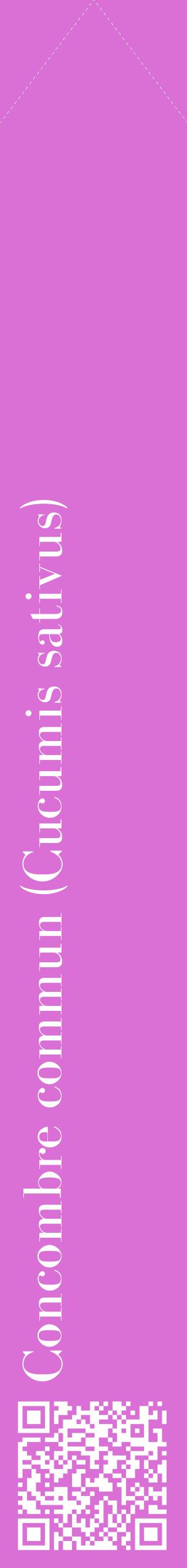 Étiquette de : Cucumis sativus - format c - style blanche52_simplebod avec qrcode et comestibilité
