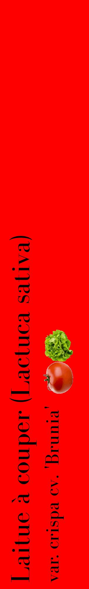 Étiquette de : Lactuca sativa var. crispa cv. 'Brunia' - format c - style noire27_basiquebod avec comestibilité simplifiée