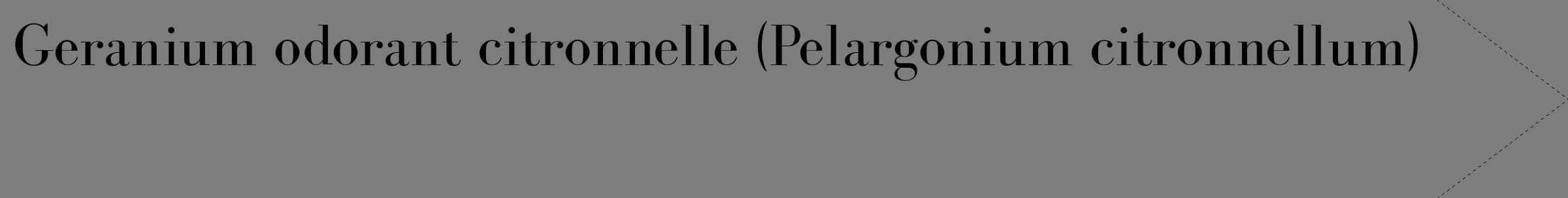 Étiquette de : Pelargonium citronnellum - format c - style noire35_simple_simplebod avec comestibilité