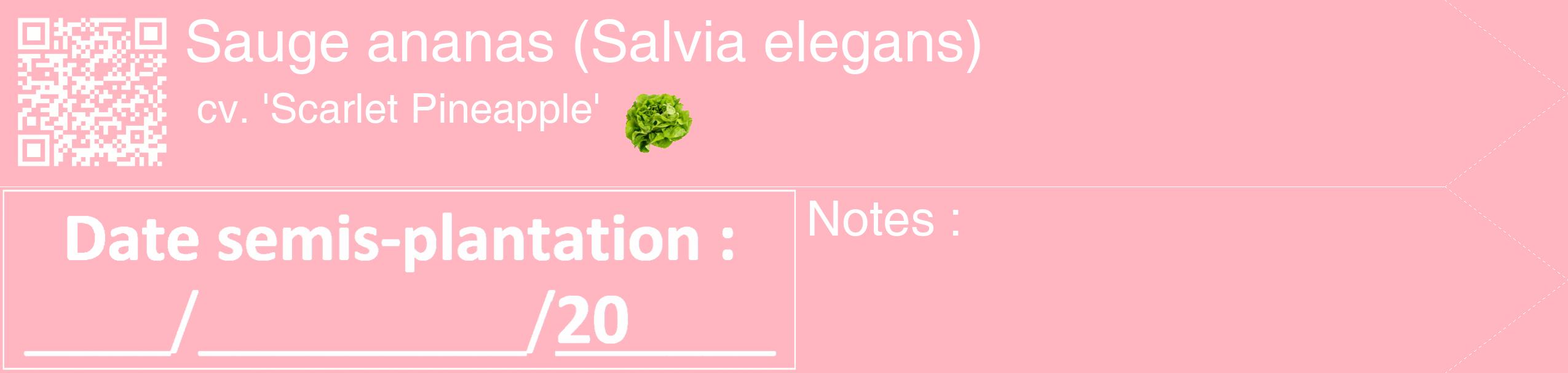 Étiquette de : Salvia elegans cv. 'Scarlet Pineapple' - format c - style blanche41_simple_simplehel avec qrcode et comestibilité simplifiée