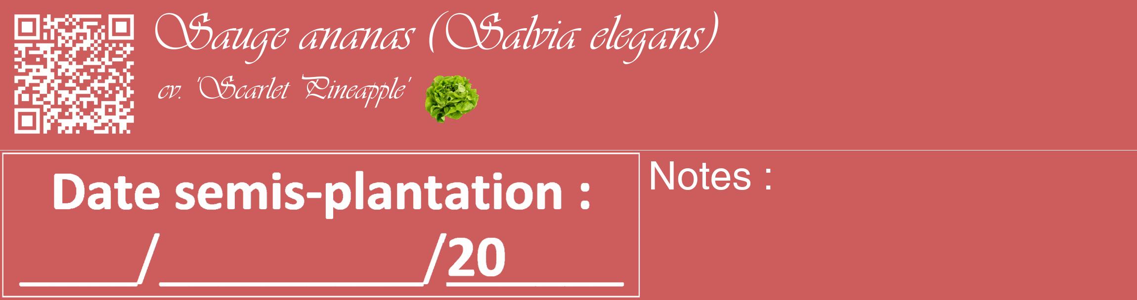 Étiquette de : Salvia elegans cv. 'Scarlet Pineapple' - format c - style blanche35_basique_basiqueviv avec qrcode et comestibilité simplifiée