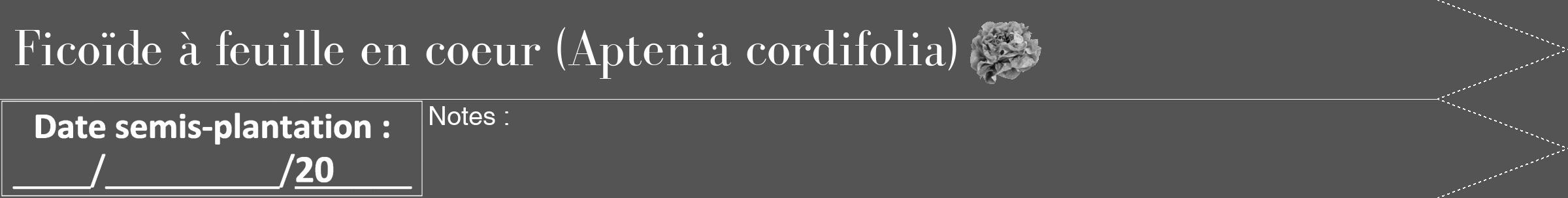 Étiquette de : Aptenia cordifolia - format b - style blanche36bod avec comestibilité simplifiée