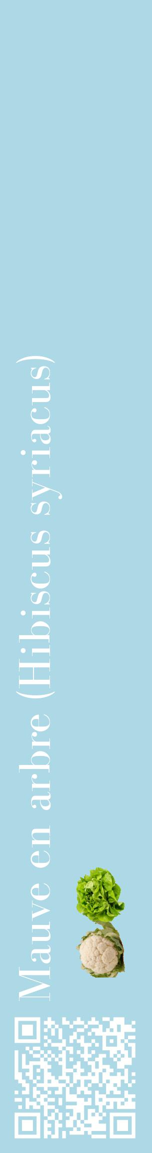 Étiquette de : Hibiscus syriacus - format c - style blanche0_basiquebod avec qrcode et comestibilité simplifiée