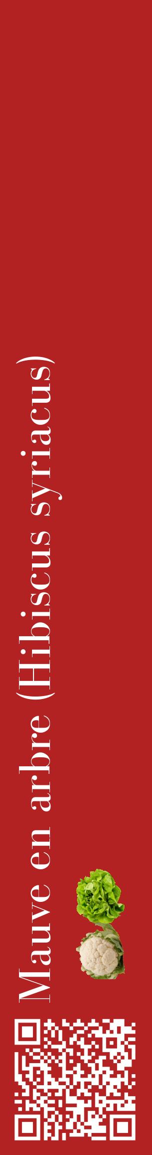 Étiquette de : Hibiscus syriacus - format c - style blanche28_basiquebod avec qrcode et comestibilité simplifiée