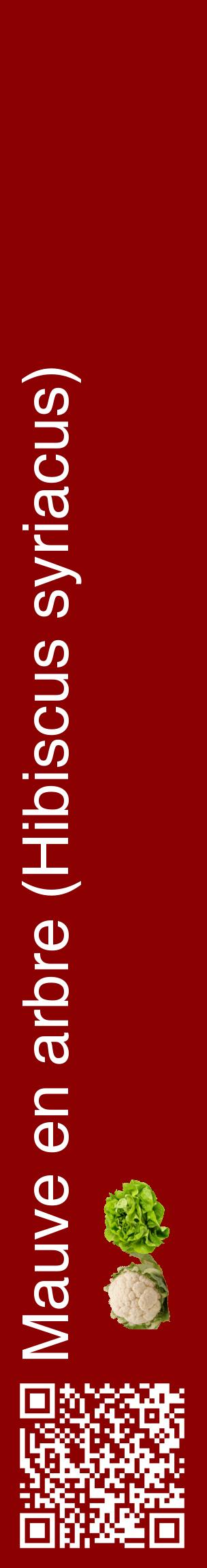 Étiquette de : Hibiscus syriacus - format c - style blanche34_basiquehel avec qrcode et comestibilité simplifiée