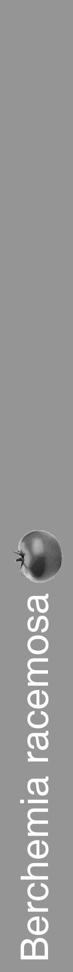 Étiquette de : Berchemia racemosa - format a - style blanche16hel avec comestibilité simplifiée - position verticale