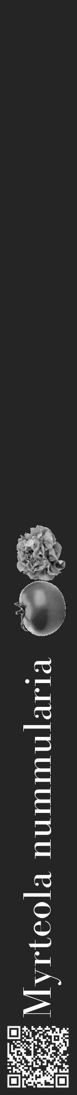 Étiquette de : Myrteola nummularia - format a - style blanche47bod avec qrcode et comestibilité simplifiée - position verticale