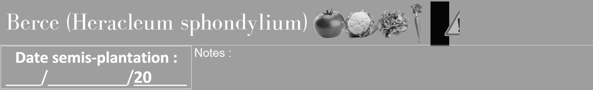 Étiquette de : Heracleum sphondylium - format a - style blanche42bod avec comestibilité simplifiée