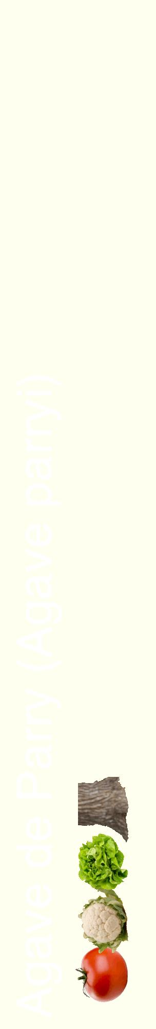 Étiquette de : Agave parryi - format c - style blanche19_basiquehel avec comestibilité simplifiée