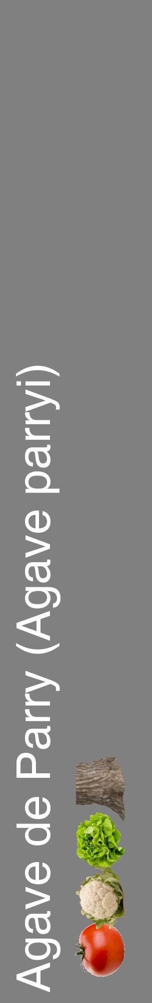 Étiquette de : Agave parryi - format c - style blanche57_basiquehel avec comestibilité simplifiée