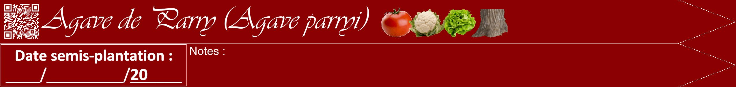 Étiquette de : Agave parryi - format b - style blanche34viv avec qrcode et comestibilité simplifiée
