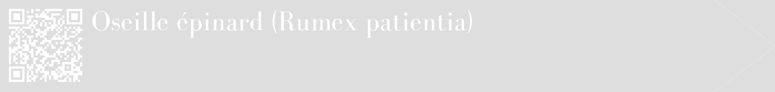 Étiquette de : Rumex patientia - format c - style blanche20_simple_simplebod avec qrcode et comestibilité