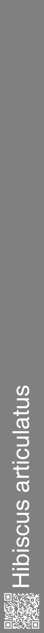 Étiquette de : Hibiscus articulatus - format a - style blanche57hel avec qrcode et comestibilité