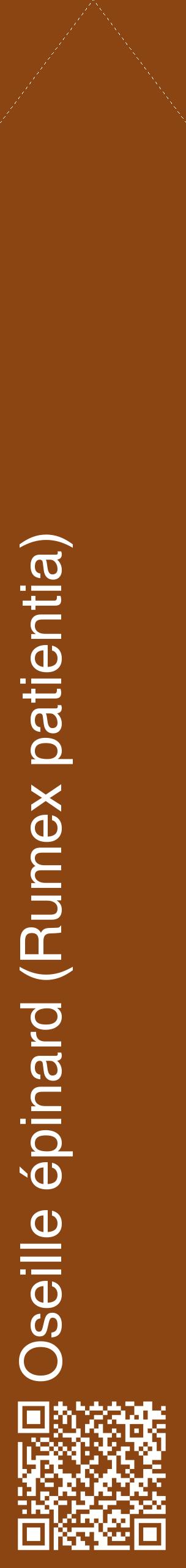 Étiquette de : Rumex patientia - format c - style blanche30_simplehel avec qrcode et comestibilité