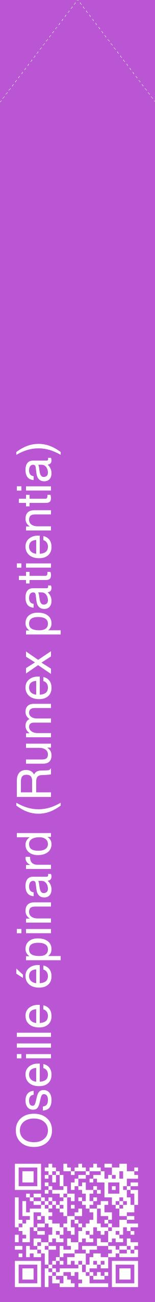 Étiquette de : Rumex patientia - format c - style blanche50_simplehel avec qrcode et comestibilité