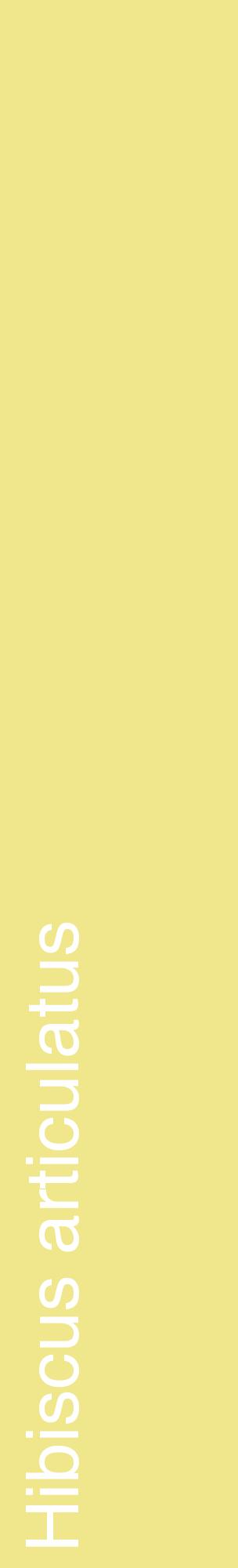 Étiquette de : Hibiscus articulatus - format c - style blanche20_basiquehel avec comestibilité
