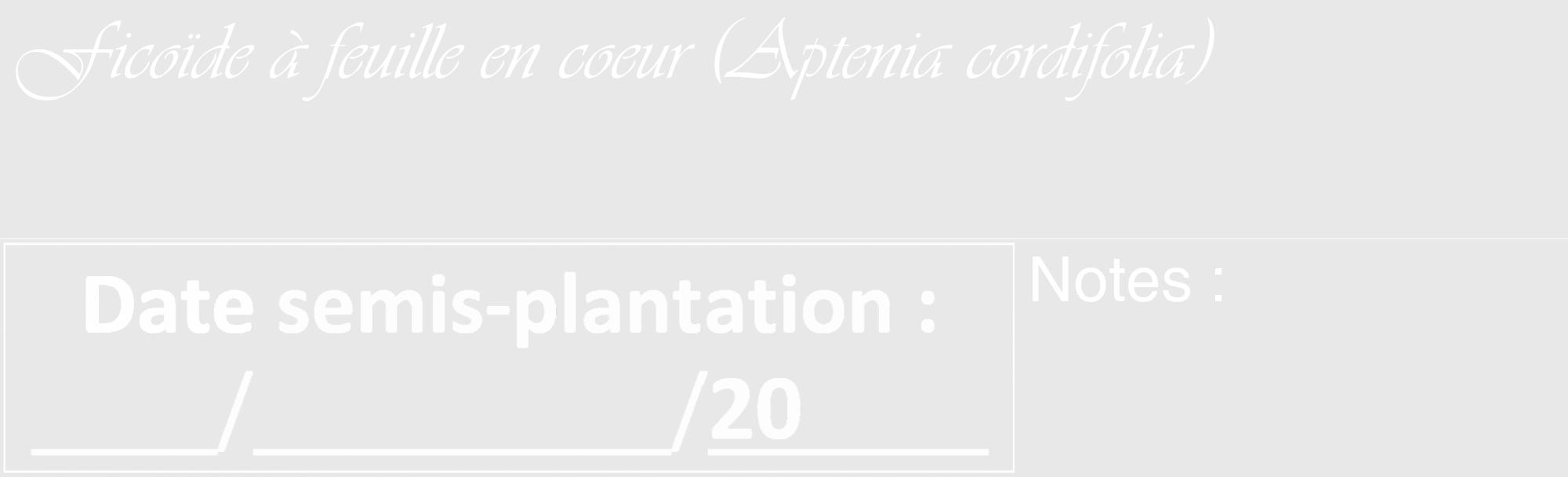 Étiquette de : Aptenia cordifolia - format c - style blanche55_basique_basiqueviv avec comestibilité