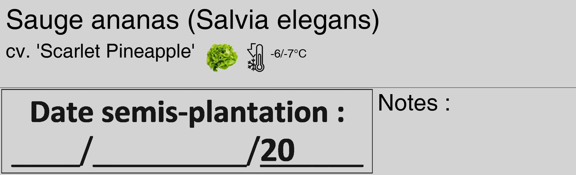 Étiquette de : Salvia elegans cv. 'Scarlet Pineapple' - format c - style noire56_basique_basiquehel avec comestibilité simplifiée