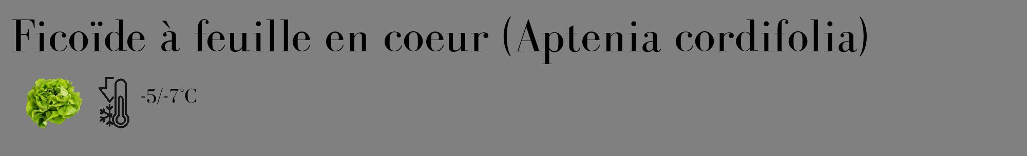 Étiquette de : Aptenia cordifolia - format c - style noire57_basique_basiquebod avec comestibilité simplifiée