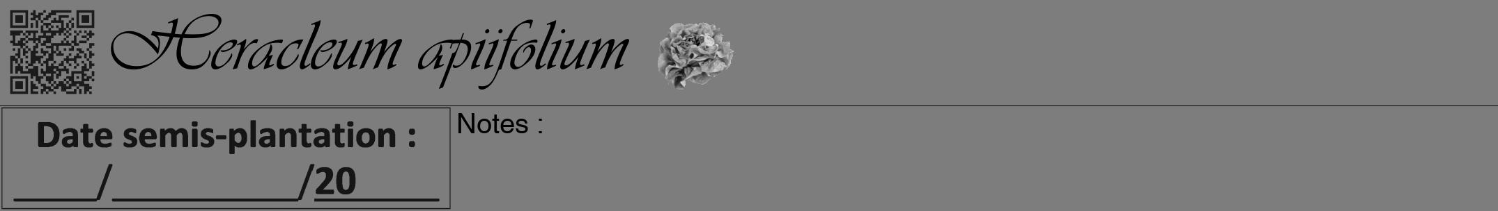 Étiquette de : Heracleum apiifolium - format a - style noire35viv avec qrcode et comestibilité simplifiée