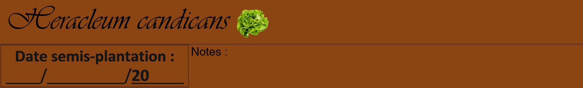Étiquette de : Heracleum candicans - format a - style noire30viv avec comestibilité simplifiée