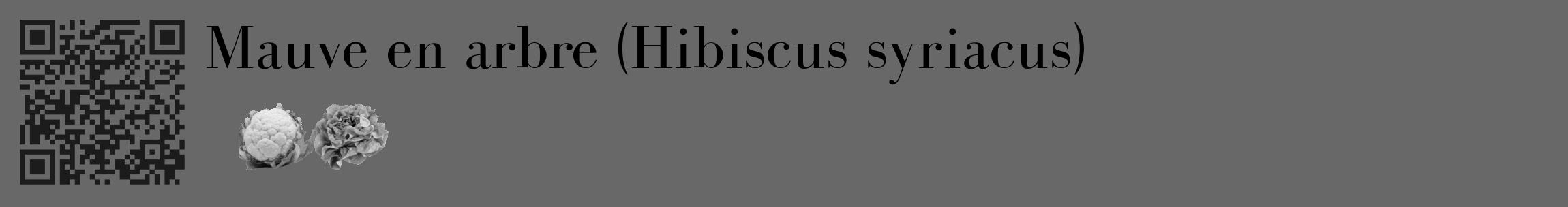 Étiquette de : Hibiscus syriacus - format c - style noire43_basique_basiquebod avec qrcode et comestibilité simplifiée