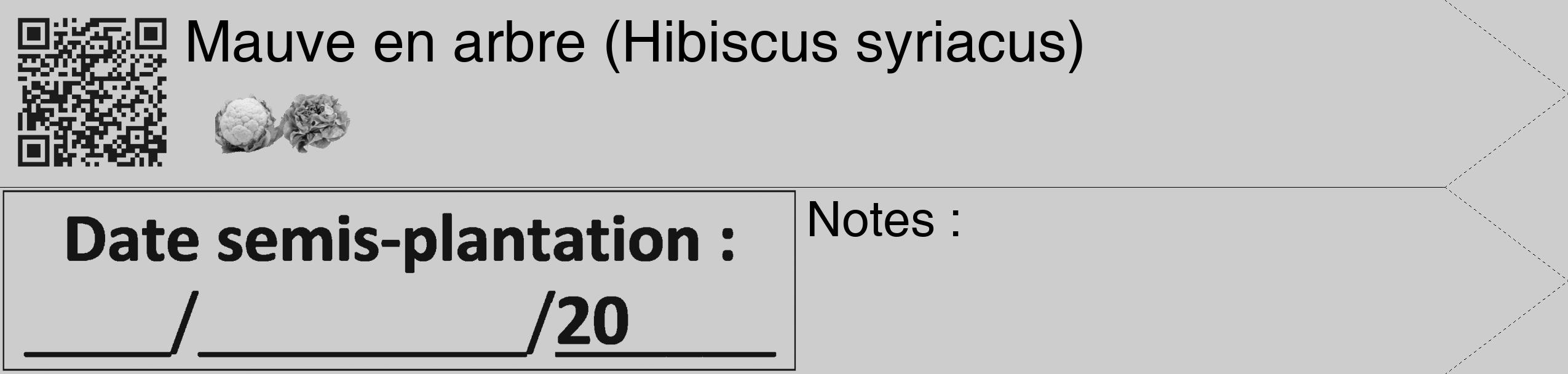 Étiquette de : Hibiscus syriacus - format c - style noire41_simple_simplehel avec qrcode et comestibilité simplifiée