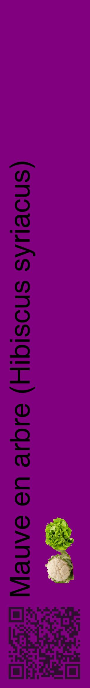 Étiquette de : Hibiscus syriacus - format c - style noire46_basiquehel avec qrcode et comestibilité simplifiée