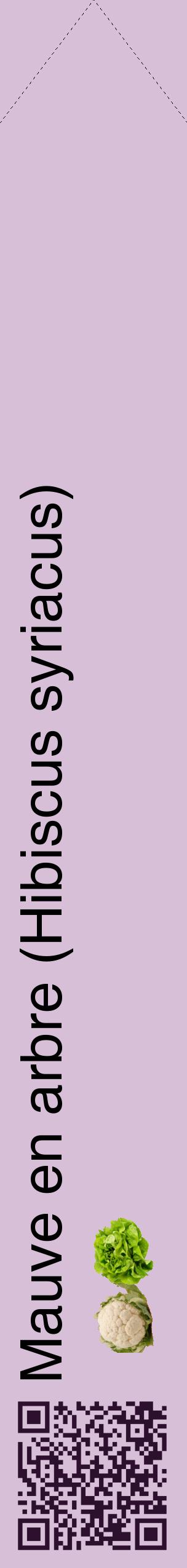 Étiquette de : Hibiscus syriacus - format c - style noire54_simplehel avec qrcode et comestibilité simplifiée