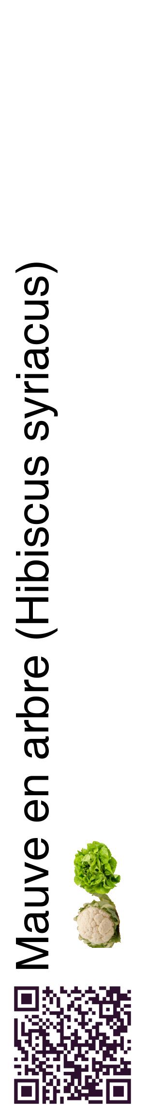 Étiquette de : Hibiscus syriacus - format c - style noire60_basiquehel avec qrcode et comestibilité simplifiée