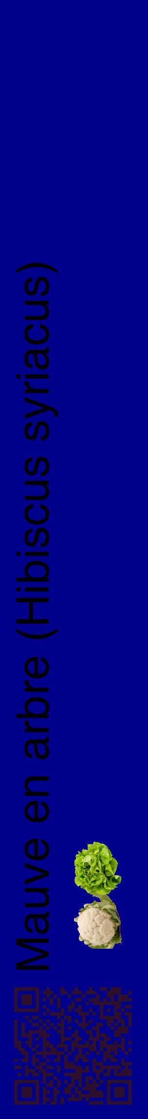 Étiquette de : Hibiscus syriacus - format c - style noire7_basiquehel avec qrcode et comestibilité simplifiée
